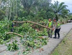 Sertu Robet Babinsa Koramil 10/Woyla Barat Kodim 0105 /Aceh Barat bersama warga membersih batang pohon tumbang Menutupi Badan Jalan