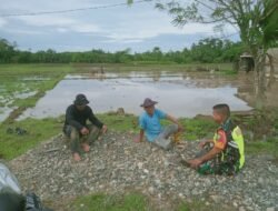 Babinsa Komsos dengan Petani, Dukung Ketahanan Pangan Nasional