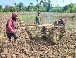 Babinsa Koramil Panga Dampingi Petani Bajak Sawah Gunakan Traktor