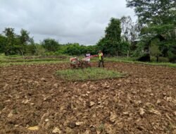 Babinsa Posramil 06/Bubon Sertu Endi Suhendi Dampingi Petani Dalam Pengolahan Tanah Di Sawah