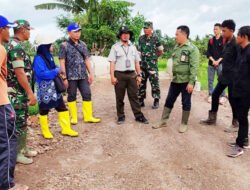 Dukung Pemerintah, Kodim HSS Pendampingan Program Oplah, Wujudkan Swasembada Pangan