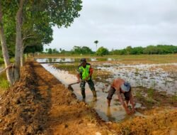 Babinsa Koramil 10 /Woyla Barat kodim 0105/Aceh Barat Serda Kurniadi membantu Petani Buat Pematang Sawah