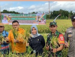 Wujudkan Ketahanan Pangan, Babinsa Telaga Langsat Berikan Pendampingan Kepada Petani