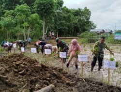 Kasdim 1001/HSU-BLG Hadiri Gerakan Tanam Bersama Brigade Pangan 2024