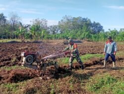 Dengan Memanfaatkan Lahan Tidur Diharapkan Warga Yang Tidak Memiliki Lahan Sendiri Nantinya Warga Dapat Menambah Penghasilan Yang Lebih Baik