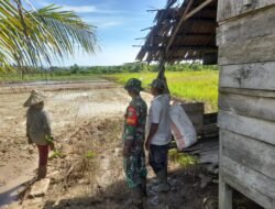 Pastikan Alsintan Dalam Kondisi Baik Dan Siap Digunakan Babinsa Teunom Laksanakan Pengecekan