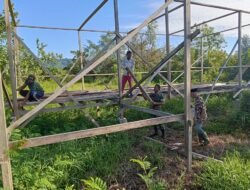 Babinsa Koramil Sampoiniet Sinergi Bantu Bangun Rumah Warga