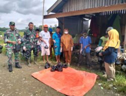 Hadir Sebagai Solusi, Babinsa Sungai Raya Bersama Tenaga Pertanian Lakukan Pengendalian Hama Tikus