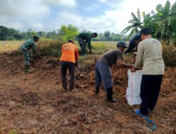 Memasuki Musim Penghujan, Babinsa Sungai Raya Bersama Masyarakat Laksanakan Pembersihan Irigasi