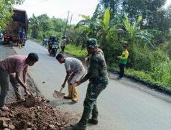 Babinsa Candi Laras Selatan Perbaiki Jalan Berlubang untuk Keselamatan Jama’ah Haul