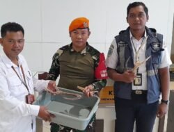 Satgas Kopasgat Gagalkan Upaya Pengiriman Batang Tanduk Rusa Tanpa Dokumen Resmi Di SCP-1  Bandara Mopah Merauke