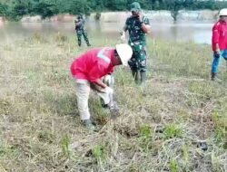 Babinsa Simpang Empat Tanam Pohon, Cegah Erosi dan Banjir