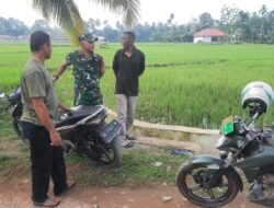 Untuk Mencegah Hama Di Tanaman Padi, Babinsa Komsos Dengan Petani Di Desa Binaan