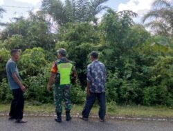 Lewat Kegiatan Patroli, Babinsa Koramil 01/Sungaimas sosialisasi karhutla di Desa binaan