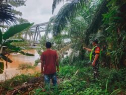 Babinsa Koramil 0105-10/Woyla Barat Serda Ari Mulyadi Melaksanakan Pemantauan Debit Krueng Woyla