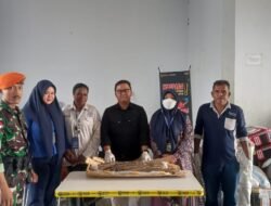 Satgas Kopasgat Tertibkan Pengiriman Batang Pohon Gaharu Tanpa Dokumen Resmi Dan Surat Kesehatan Di X-Ray Cargo Bandara Mopah Merauke