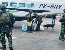 Antisipasi Perang Suku Menjelang Keputusan MK Cabup Kab. Puncak, Satgas Pamrahwan RI-PNG Kewilayahan Pos Aminggaru Ilaga Kopasgat Laksanakan Sweeping Rutin di Bandara Udara Aminggaru Ilaga