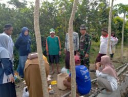Babinsa Koramil 1003-02 Bagikan Racun Tikus untuk Mencegah Gagal Panen