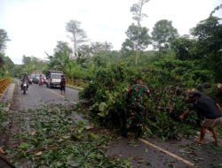 Koramil 1003-02/Padang Batung Berhasil Evakuasi Pohon Tumbang Yang Menghambat Lalu Lintas di Desa Mawangi