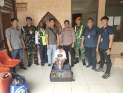 Siap Siaga dan Waspada, Satgas Kopasgat Kembali Gagalkan Penyelundupan Ganja Kering oleh Penumpang di HSCP Bandara Sentani Jayapura