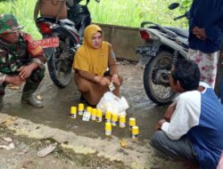 Komitmen Babinsa Dalam Meningkatkan Kesejahteraan Petani: Pembagian Racun Tikus Dan Obat Penghilang Hama Wereng