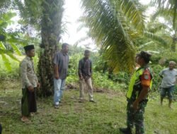 Babinsa Koramil 0105-10/Woyla Barat Serda Hendri Mensosialisasikan Cara Menebang Hutan dan Tidak Membakar Hutan Sembarangan