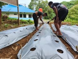 Manfaatkan Lahan Tidur, Kodim 1801/Manokwari Buat Demplot Ketahanan Pangan