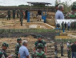 Korem 182/JO Dukung Program Ketahanan Pangan dengan Tinjau Lokasi Penanaman Padi