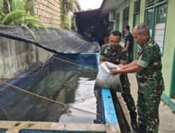 Kodim 1001/HSU-BLG Luncurkan Program Budidaya Ikan Lele untuk Ketahanan Pangan