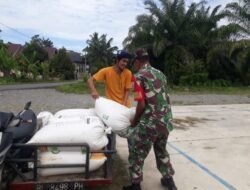 Babinsa Koramil 09/Samatiga Bantu Angkut Hasil Panen di Desa Cot Darat