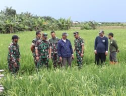 Kodim 0909/Kutai Timur Dukung Program Ketahanan Pangan Melalui Optimalisasi Lahan