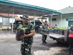 TNI Dukung Ketahanan Pangan Nasional dengan Menanam Pangan di Lahan Kosong