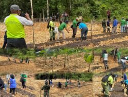 Korem 182/JO dan Dinas Pertanian Fakfak Kolaborasi Wujudkan Urban Farming Percontohan