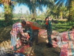 Di Bulan Puasa Tidak Menyurutkan Semangat, Babinsa Tetap Bantu Petani Merontokkan Padi di Desa Binaan