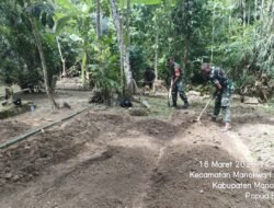 Koramil 1801-01/Manokwari Manfaatkan Lahan Menjadi Perkebunan