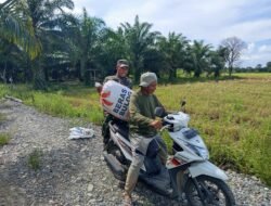 Wujud Kepedulian, Babinsa Bantu Petani Angkat Hasil Panen Padi Keatas Kendaraan