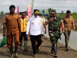 Panen Raya Serentak di 6 Distrik, Dandim Merauke Dampingi Gubernur Papua Selatan