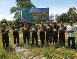 Dandim 0105/Abar Panen Raya Semangka Non Biji, Meningkatkan Ketahanan Pangan