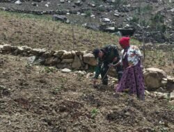 Meningkatkan Ketahanan Pangan, Satgas Yonif 614/RJP Tanam Jagung