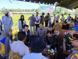 Panen Raya Serentak di 14 Provinsi, Dandim 1010/Tapin Siap Dukung Swasembada Pangan