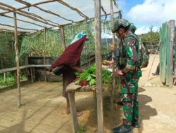 Satgas Yonif 614/Raja Pandhita Dukung Perekonomian Lokal, Borong Hasil Bumi Masyarakat Papua