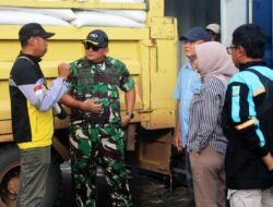 Panen Berkah di Merauke, Beras Lokal Siap Suplai Seluruh Papua