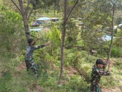 Satgas Yonif 614/RJP Pasang Tali Jalur Logistik di Distrik Balingga Pasca Longsor