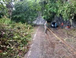 Babinsa Koramil 01/Jaya Kodim 0114/Aceh Jaya Monitoring dan Bantu Pembersihan Pohon Tumbang di Puncak Gunung Grute
