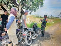 Babinsa Dampingi Program Sergan di Timbaan