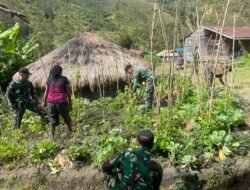 Satgas Yonif 614/RJP Bantu Masyarakat Distrik Malagai Ciptakan Ketahanan Pangan dengan Berkebun Sayur