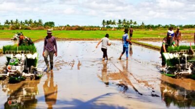 Merauke Majukan Pertanian dengan Teknologi Modern untuk Kemandirian Pangan