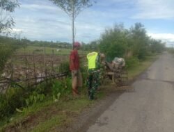 Bantu Bajak Sawah, Babinsa Selalu Ada Untuk Petani