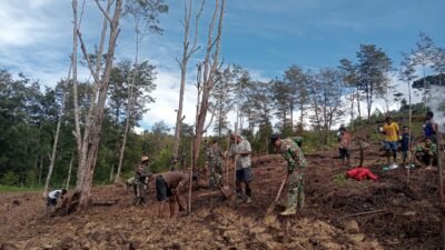 Satgas Yonif 614/RJP dan Masyarakat Bersinergi Buka Lahan di Tiom