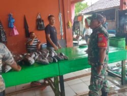 Jaga Stabilitas Ekonomi Lokal: Babinsa Krueng Sabee Blusukan Pantau Harga Ikan